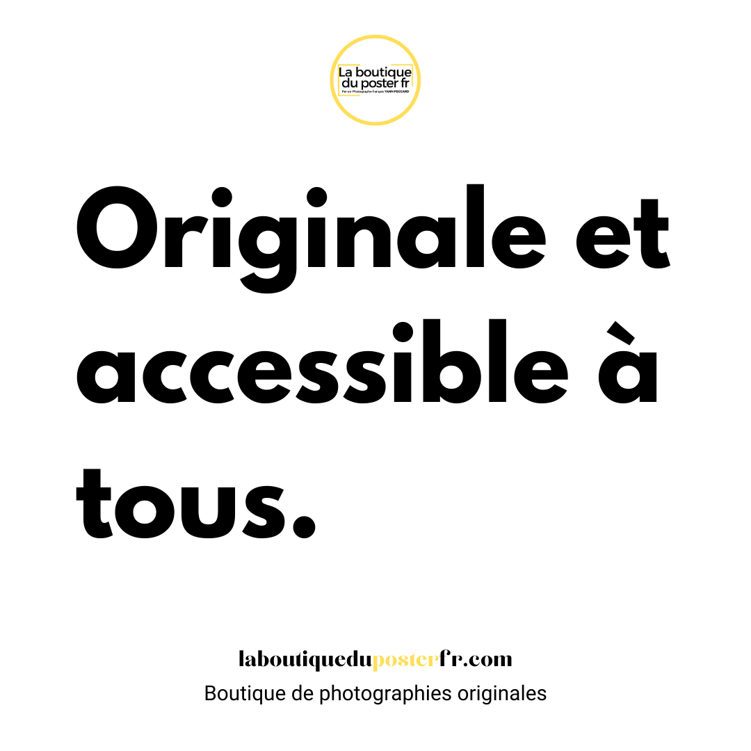 Des posters uniques et accessibles