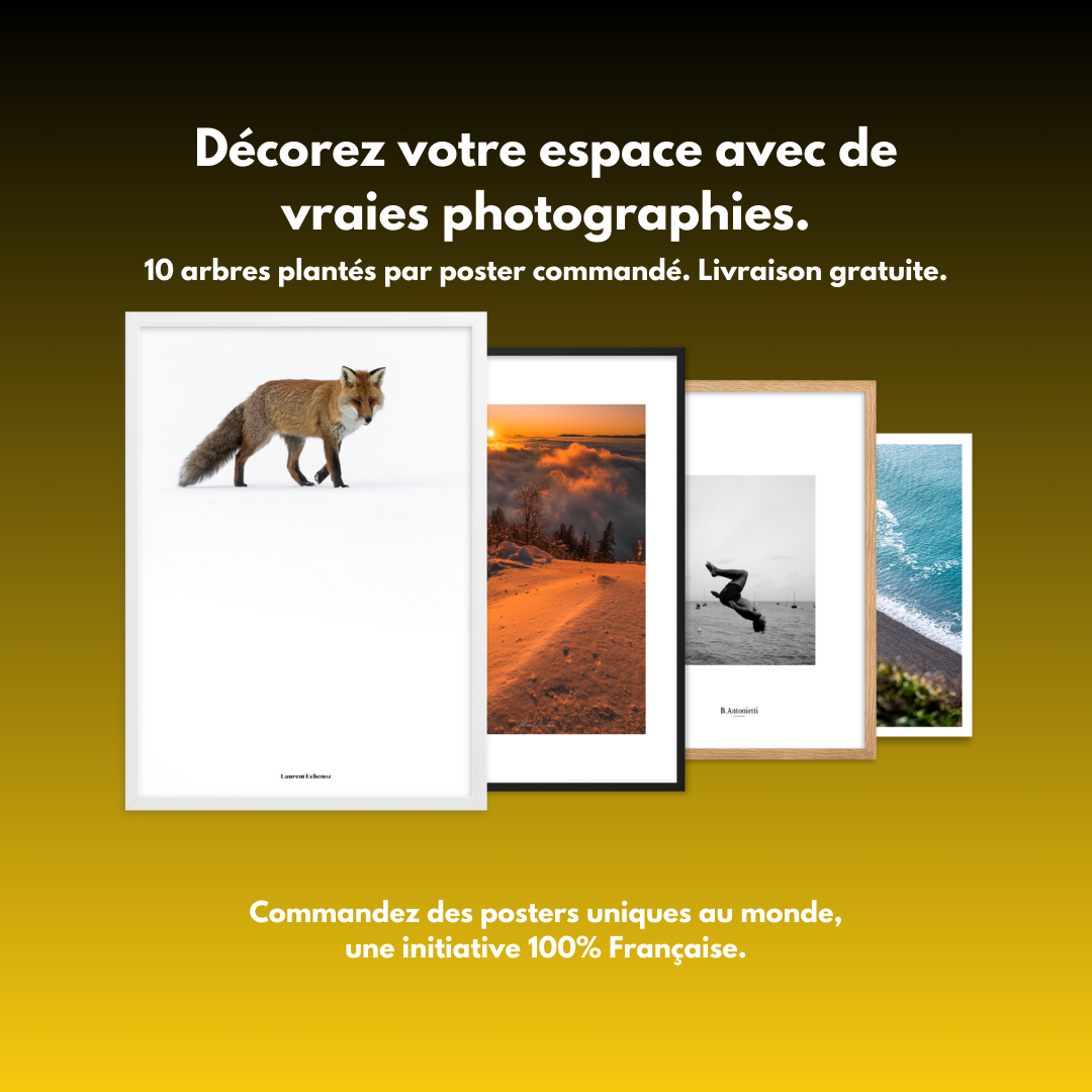 Le pouvoir éducatif de la photographie et de l'art