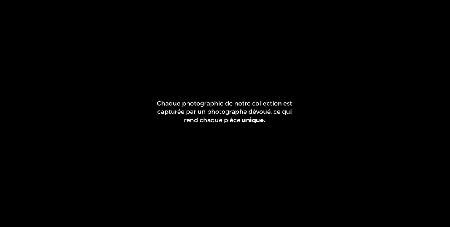 La Démocratisation de la Photographie : Du Daguerreotype au Smartphone