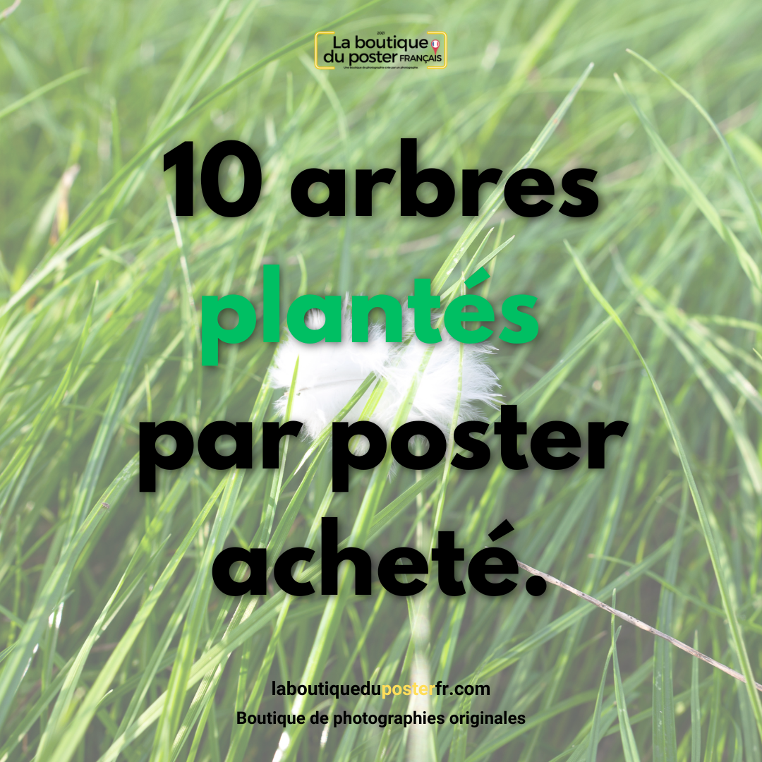 Quel est le salaire d'un photographe ?