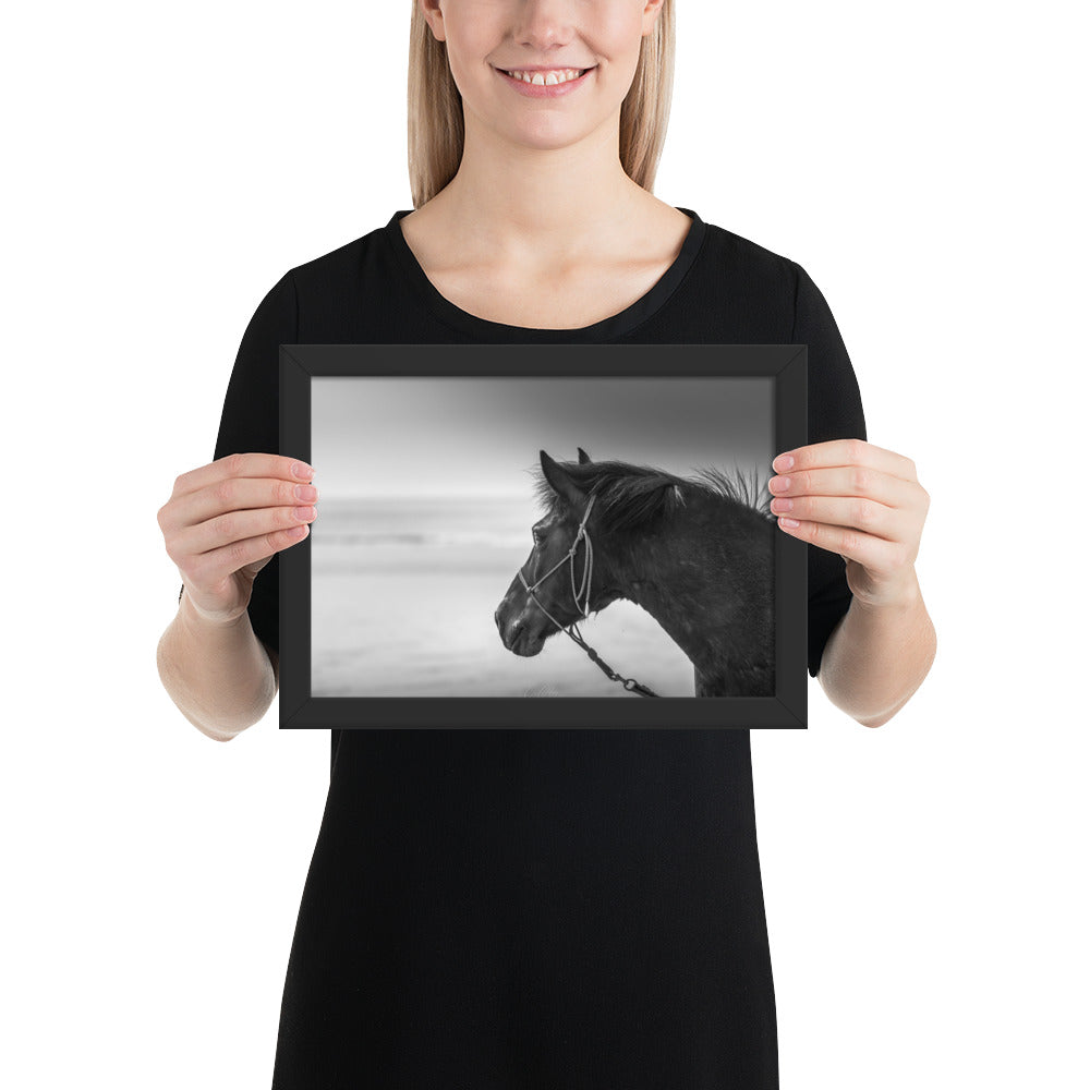 Photographie noir et blanc 'Cheval N&B' par Charles Coley, illustrant la grâce majestueuse d'un cheval en mouvement, avec une attention particulière aux détails exquis et à la pureté du moment capturé.