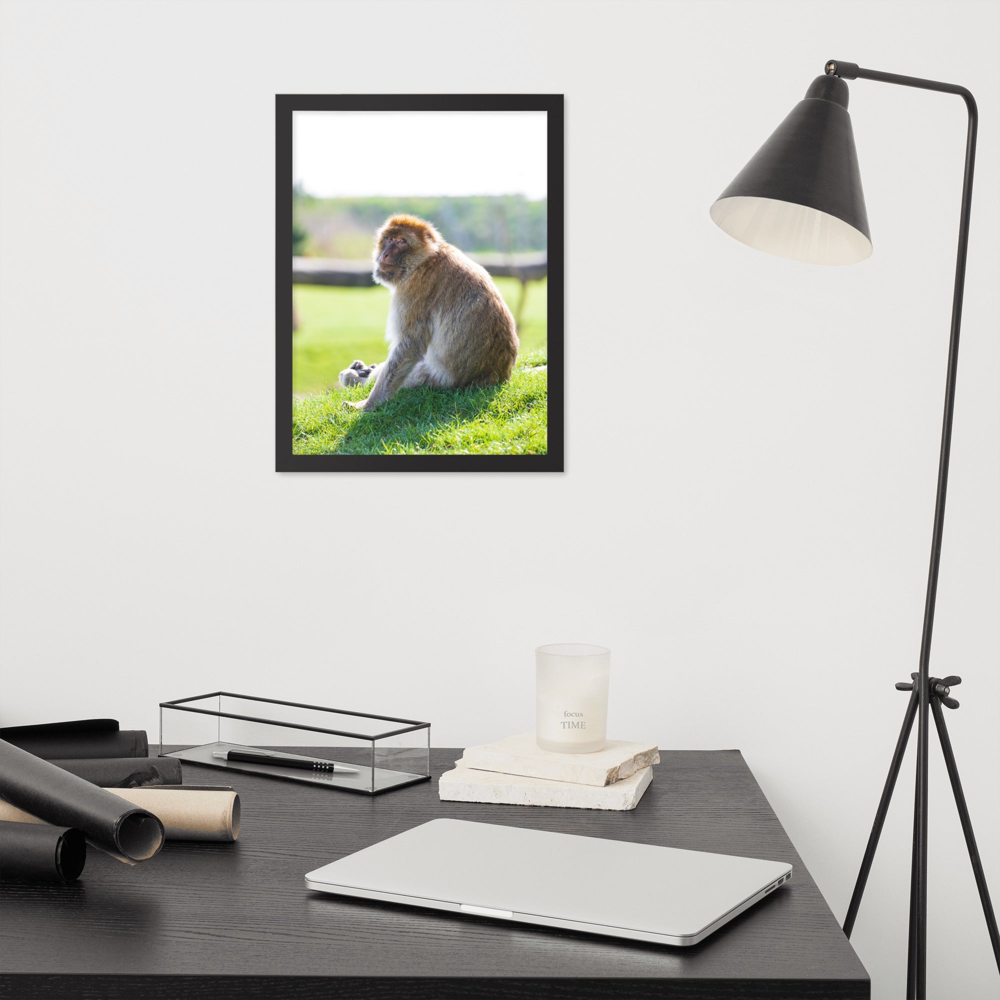 Dans le regard d'un macaque - Poster encadré - La boutique du poster Français