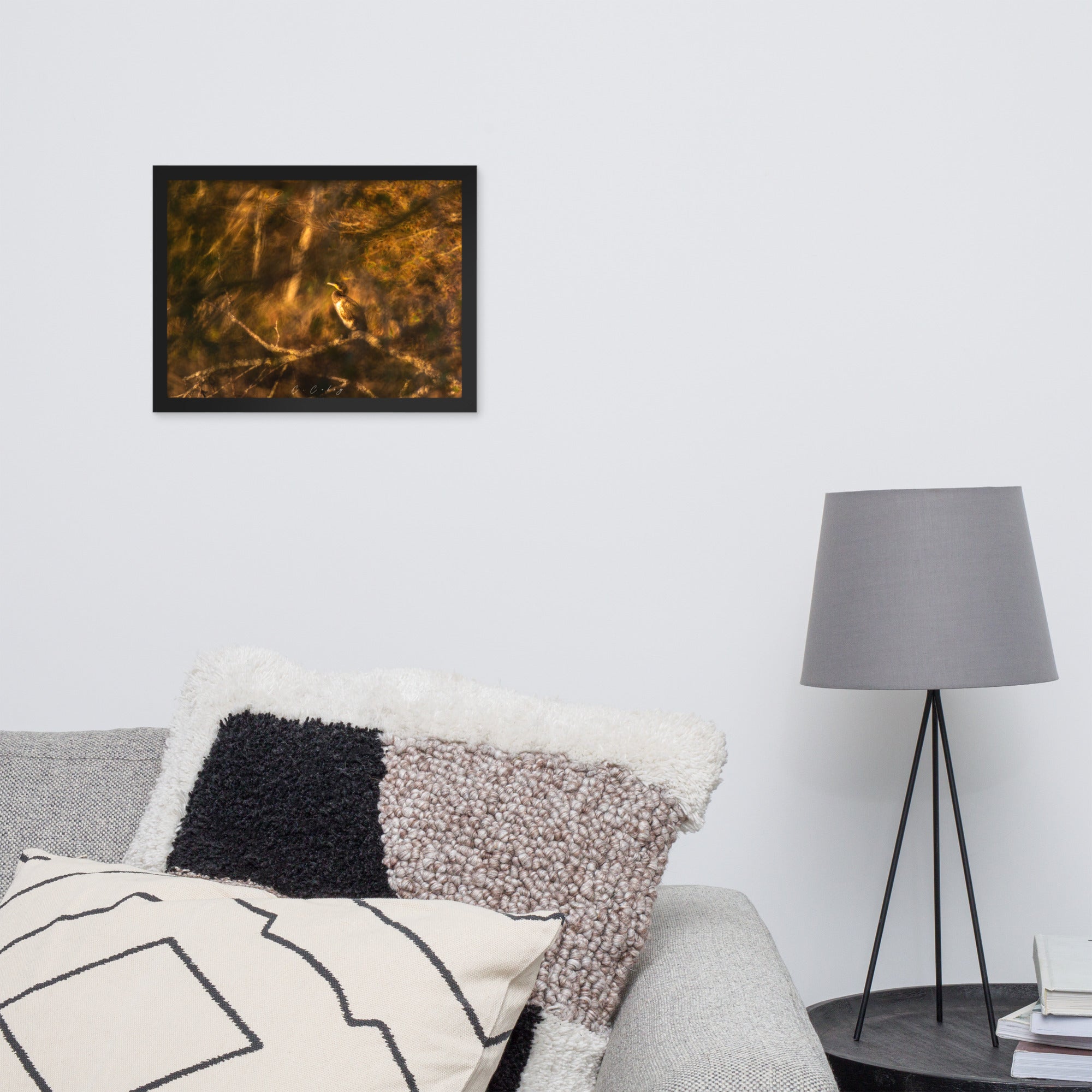 Cormoran élégamment perché sur une branche, évoquant un tableau de maître, encadré en chêne massif, une fusion unique entre photographie et peinture signée Charles Coley.