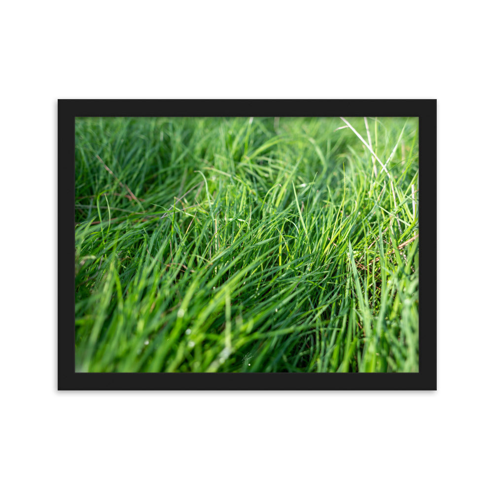 Photographie de 'Le Vent', montrant de l'herbe verte inclinée par une brise légère, encadrée dans un cadre en bois élégant.