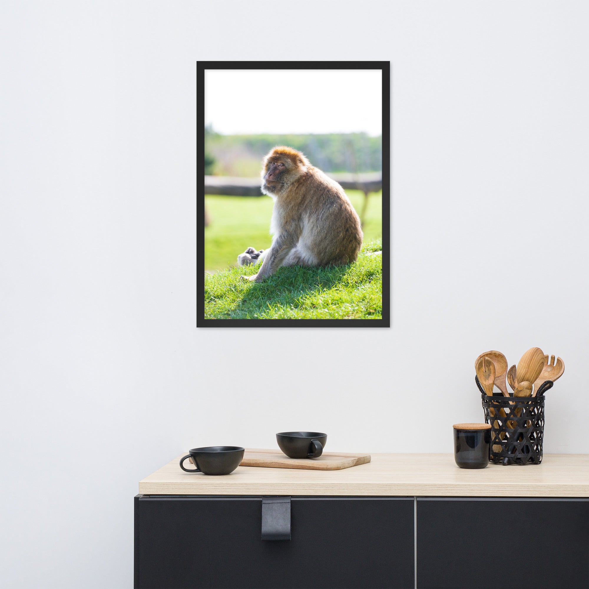 Dans le regard d'un macaque - Poster encadré - La boutique du poster Français