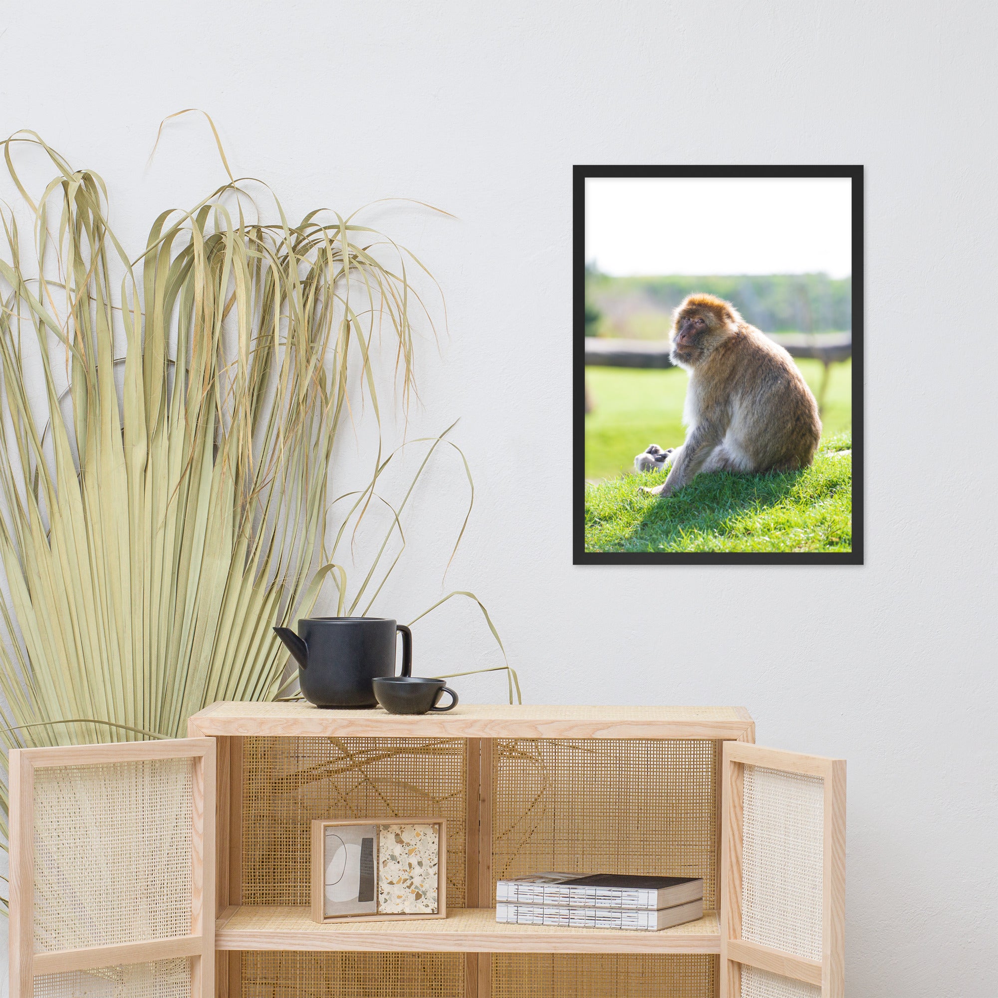 Dans le regard d'un macaque - Poster encadré - La boutique du poster Français