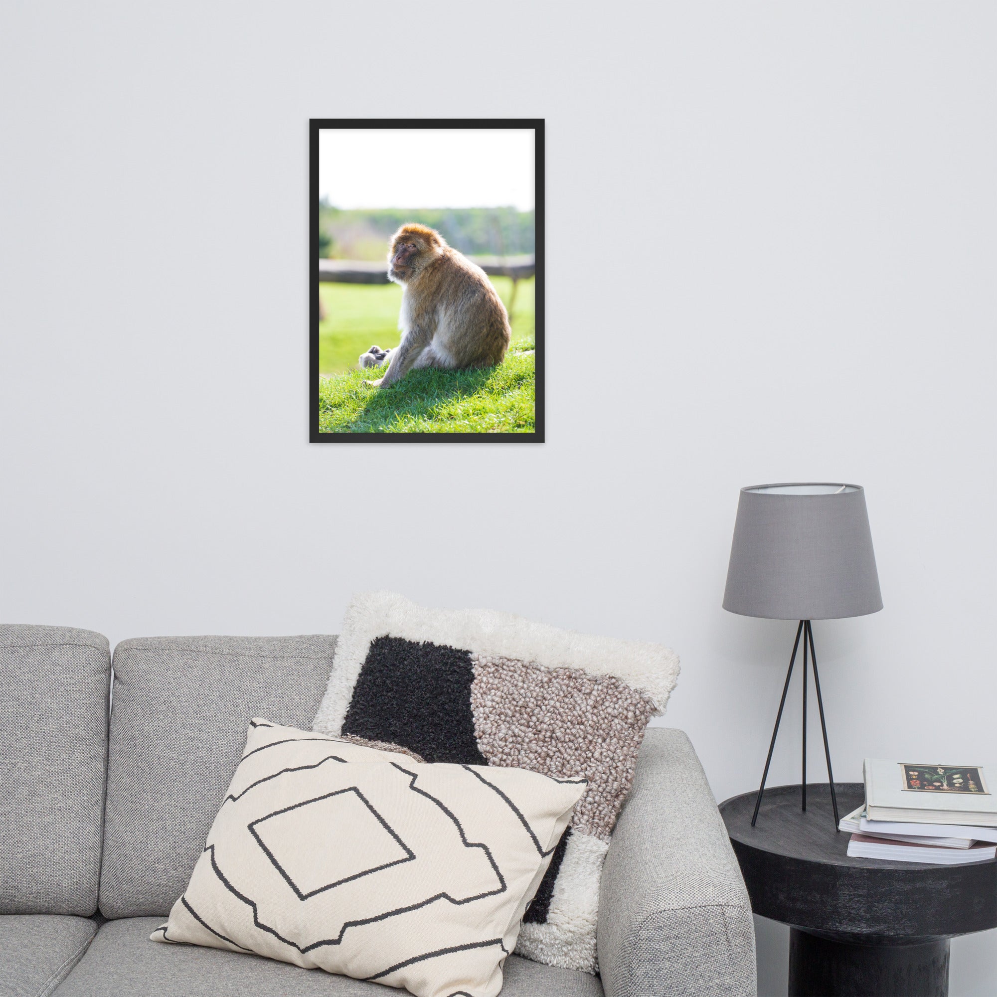 Dans le regard d'un macaque - Poster encadré - La boutique du poster Français