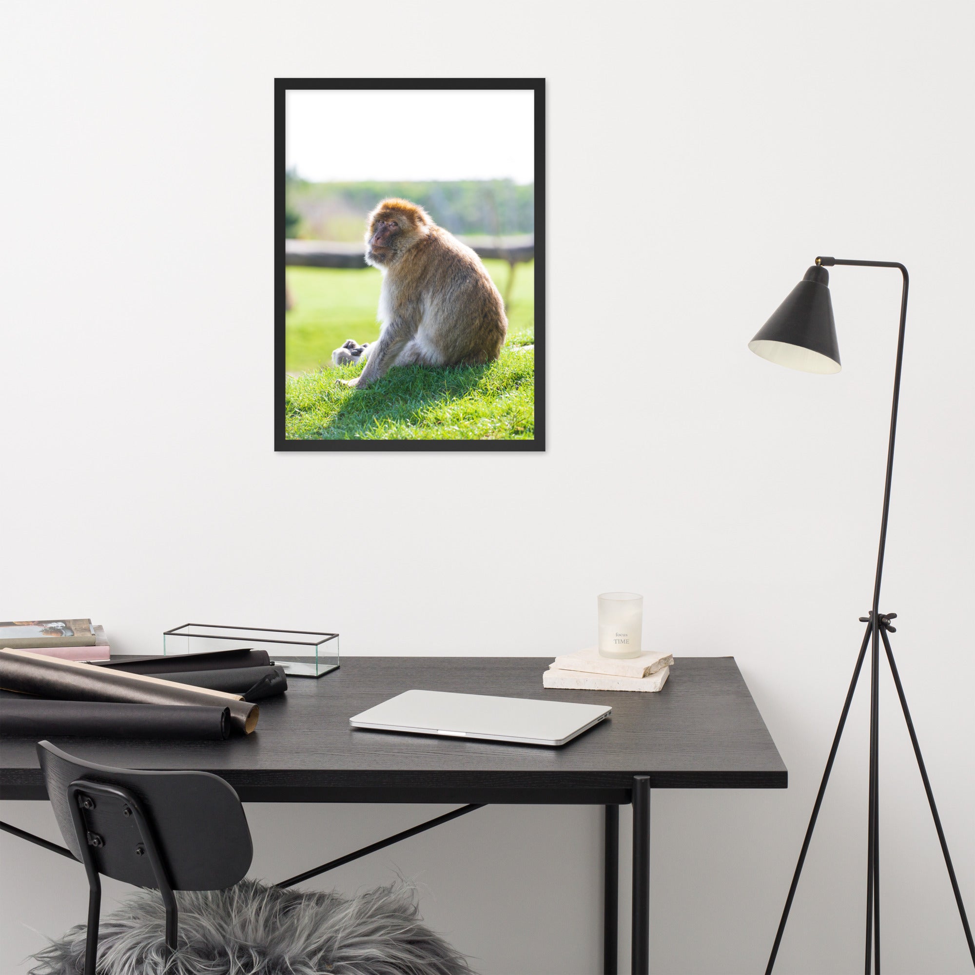 Dans le regard d'un macaque - Poster encadré - La boutique du poster Français