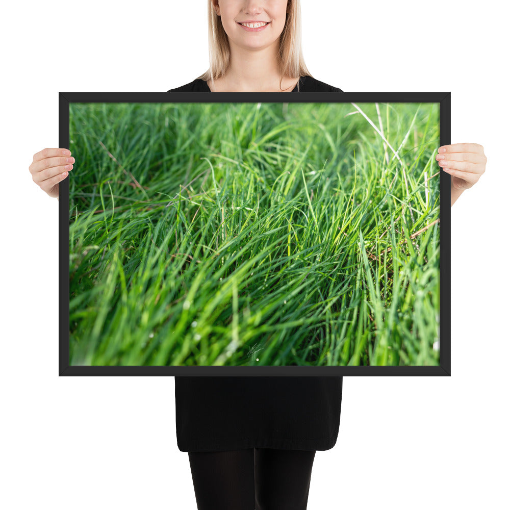 Photographie de 'Le Vent', montrant de l'herbe verte inclinée par une brise légère, encadrée dans un cadre en bois élégant.