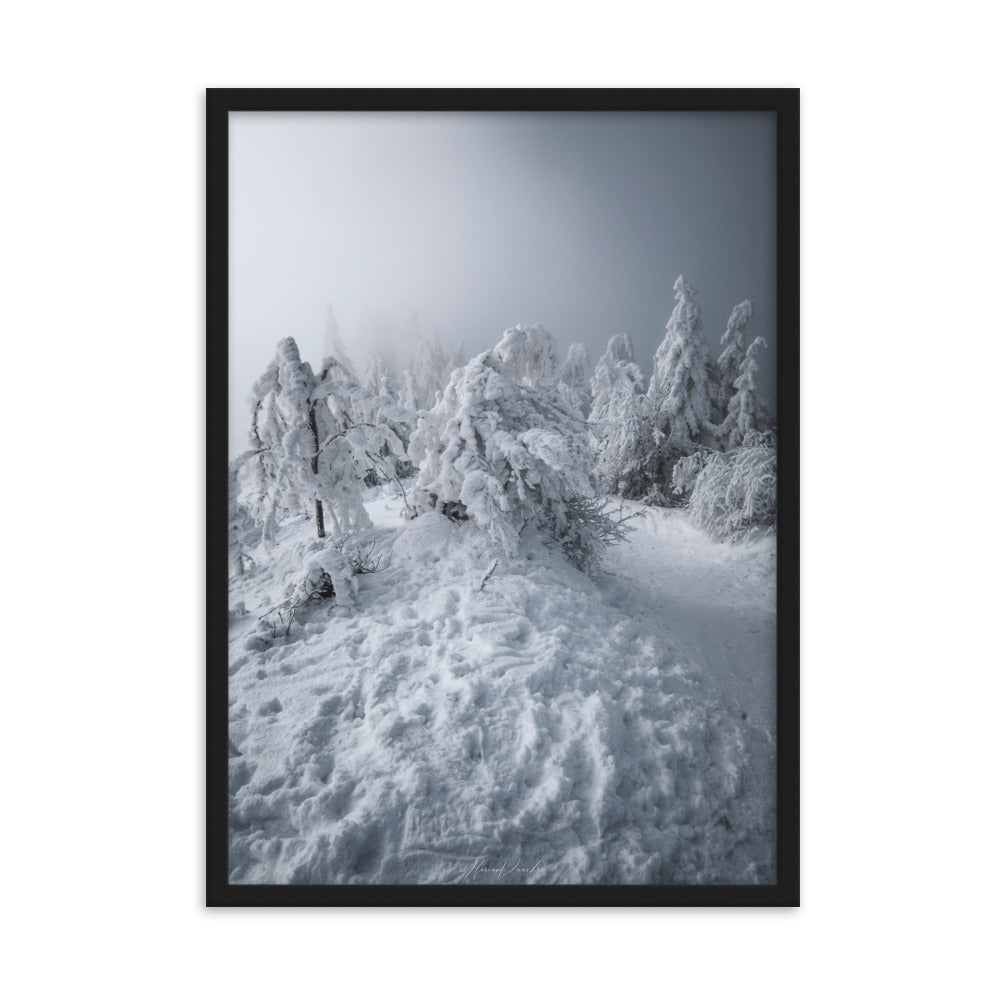 Photographie d'un paysage hivernal avec des arbres enneigés et une brume légère, capturée par Florian Vaucher, illustrant un univers monochrome et tranquille.