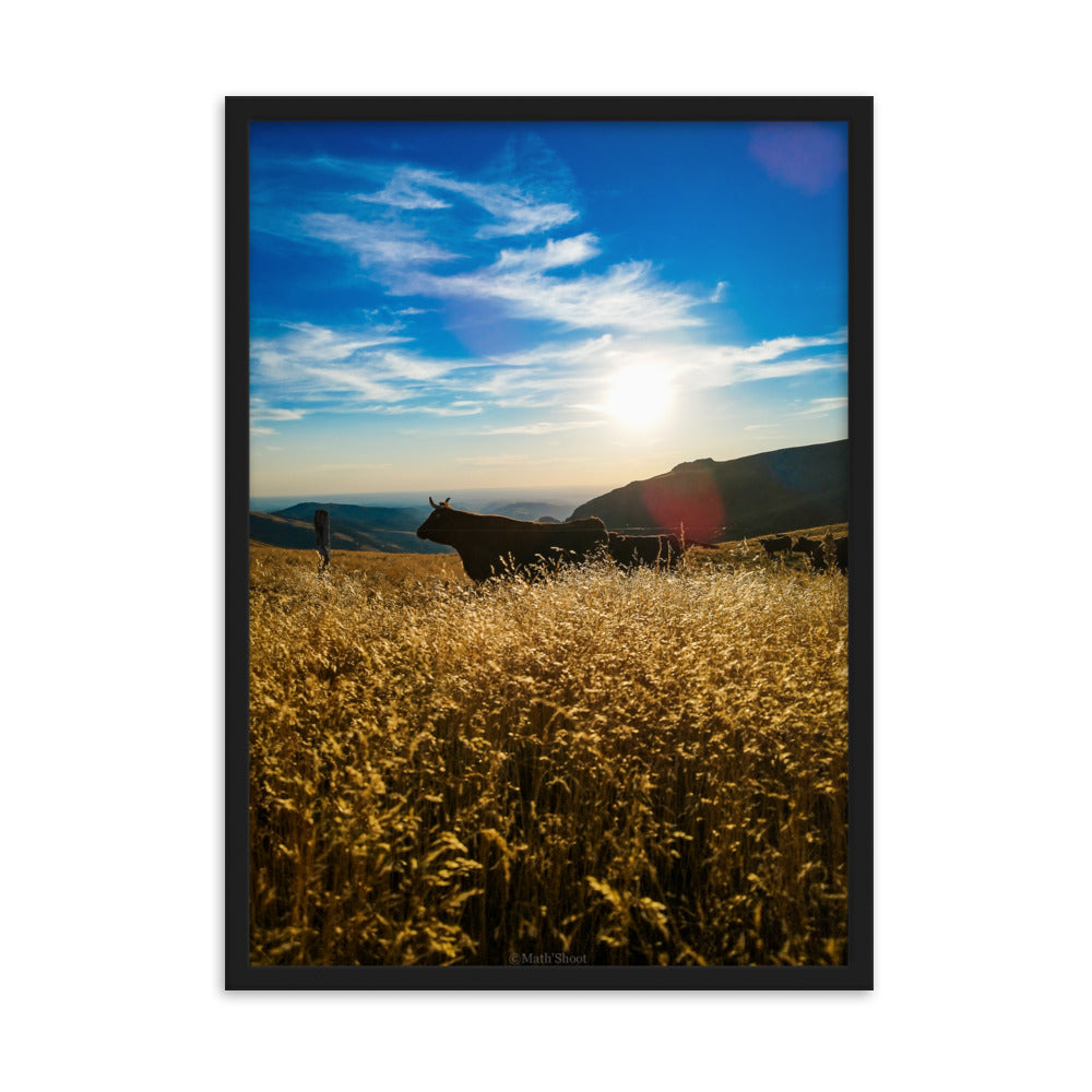 Photographie de herbes dorées dans la lumière du soleil couchant avec des montagnes en arrière-plan, capturée par Math Shoot FR, évoquant la sérénité et la grandeur de la nature.