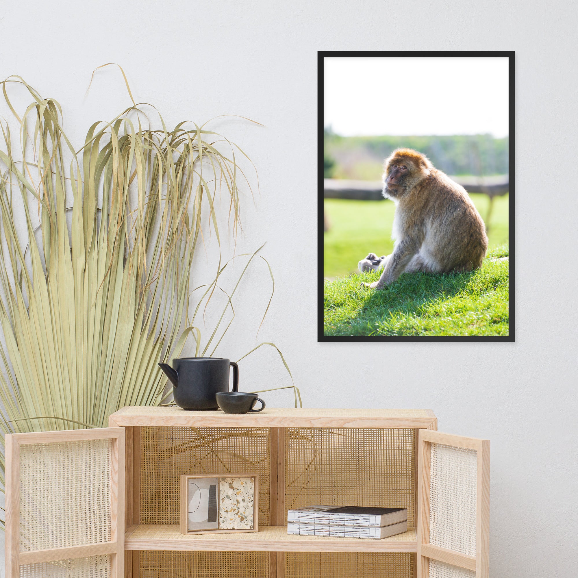 Dans le regard d'un macaque - Poster encadré - La boutique du poster Français