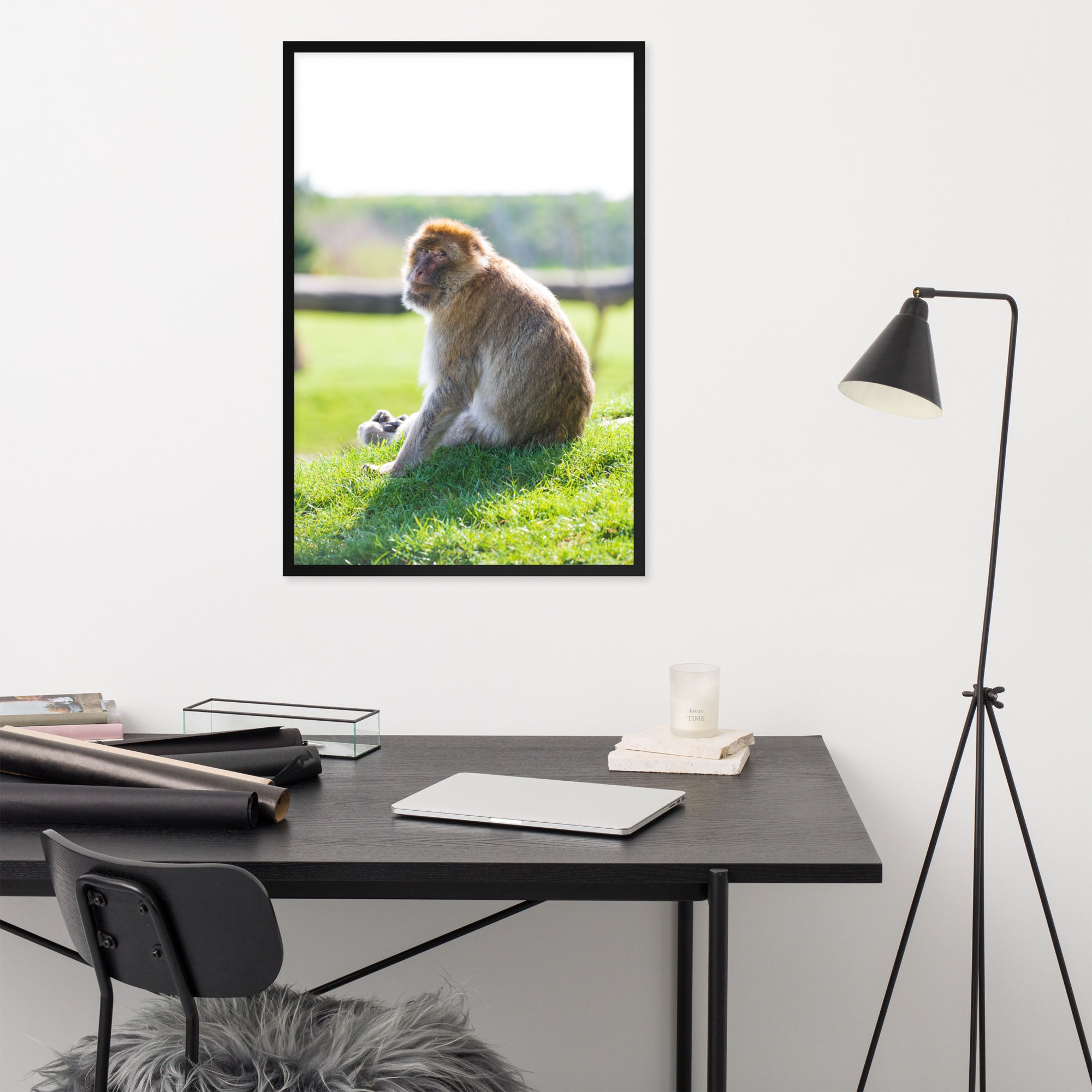 Dans le regard d'un macaque - Poster encadré - La boutique du poster Français