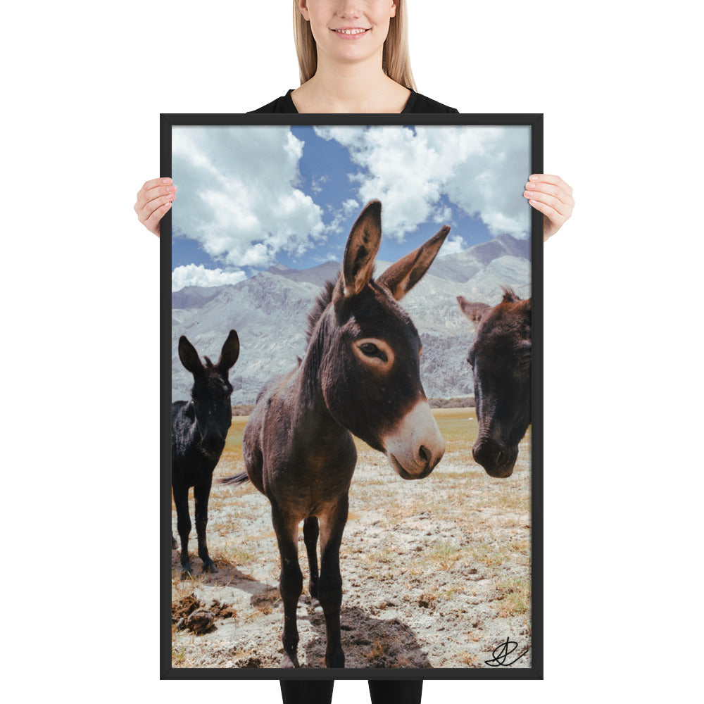 Photographie encadrée 'Les ânes' par Ilan Shoham, dépeignant trois ânes dans un décor aride de la Vallée de Noubra, avec des montagnes imposantes en arrière-plan dans une impression de qualité musée.