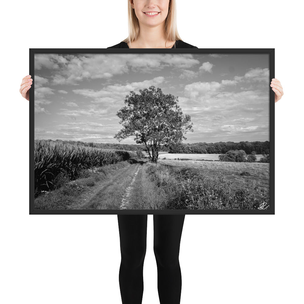 Poster en noir et blanc 'Le Grand Arbre', mettant en vedette un arbre robuste et serein au bord d'un champ ouvert, photographié de manière artistique par Ilan Shoham, offrant une présence apaisante et majestueuse à votre espace.