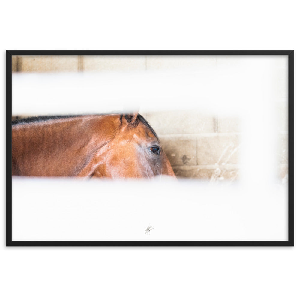 Poster artistique 'Confidence au box' signé Yann Peccard, représentant un cheval châtain dans un éclat de lumière, encadré et prêt à embellir votre espace.