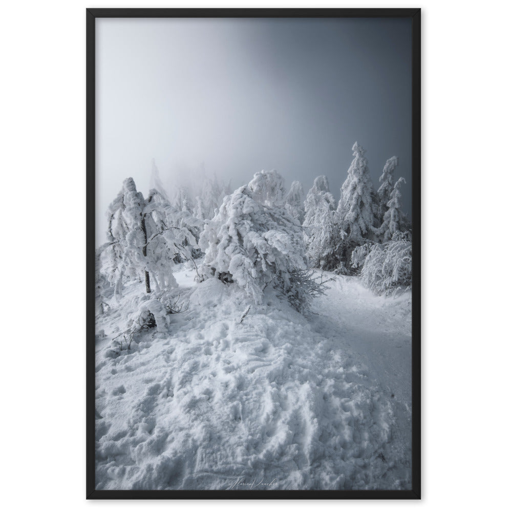 Photographie d'un paysage hivernal avec des arbres enneigés et une brume légère, capturée par Florian Vaucher, illustrant un univers monochrome et tranquille.