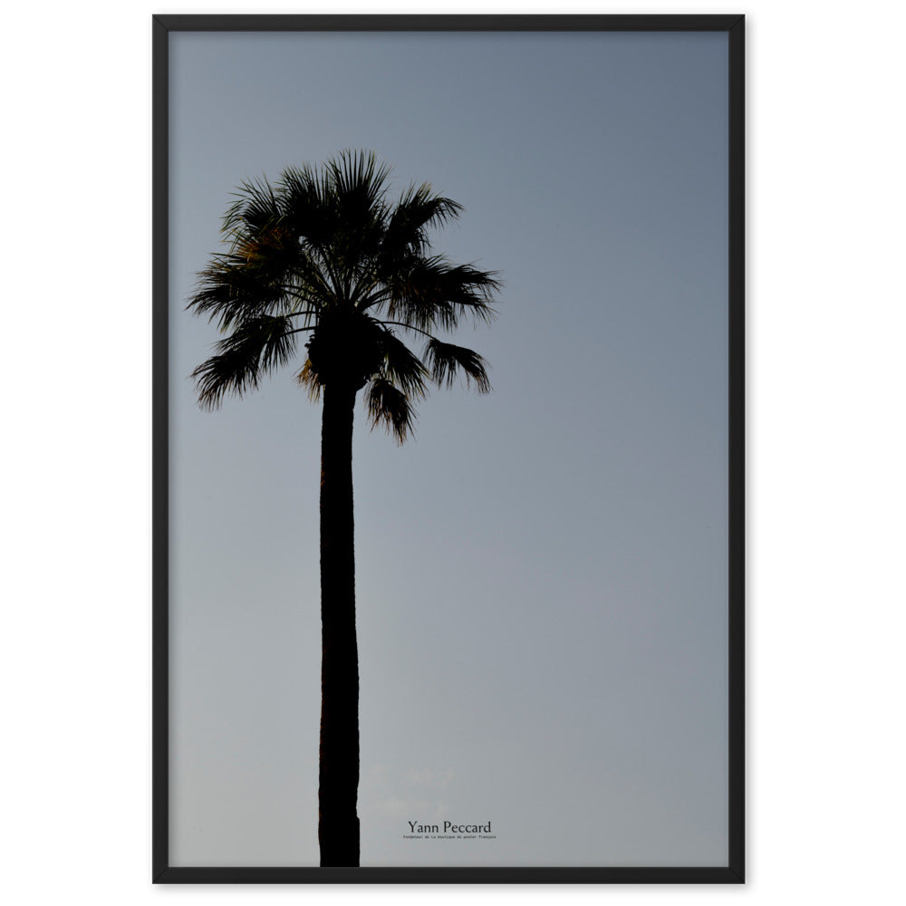 Silhouette d'un palmier sur fond de ciel crépusculaire dans le poster "Tropicale" de Yann Peccard.