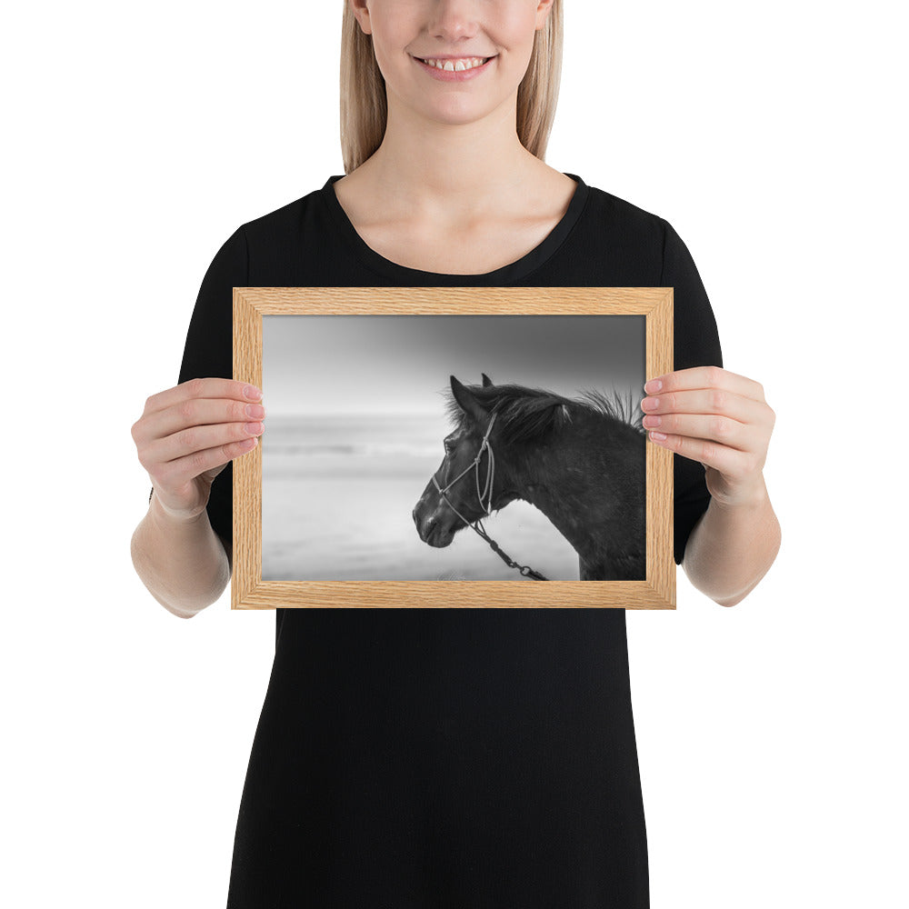 Photographie noir et blanc 'Cheval N&B' par Charles Coley, illustrant la grâce majestueuse d'un cheval en mouvement, avec une attention particulière aux détails exquis et à la pureté du moment capturé.