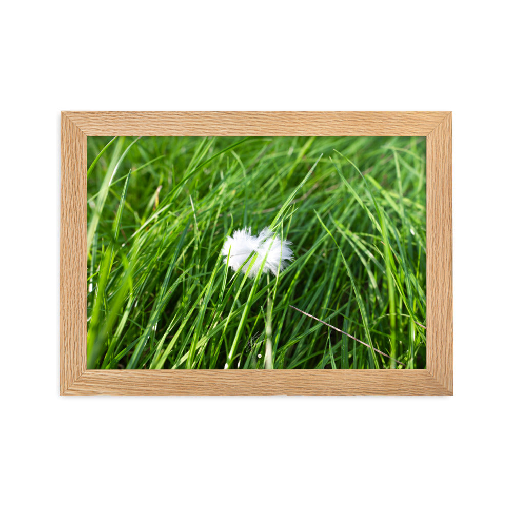Photographie d'une plume blanche solitaire reposant paisiblement sur une herbe verte, encapsulant une ambiance de calme et de sérénité.