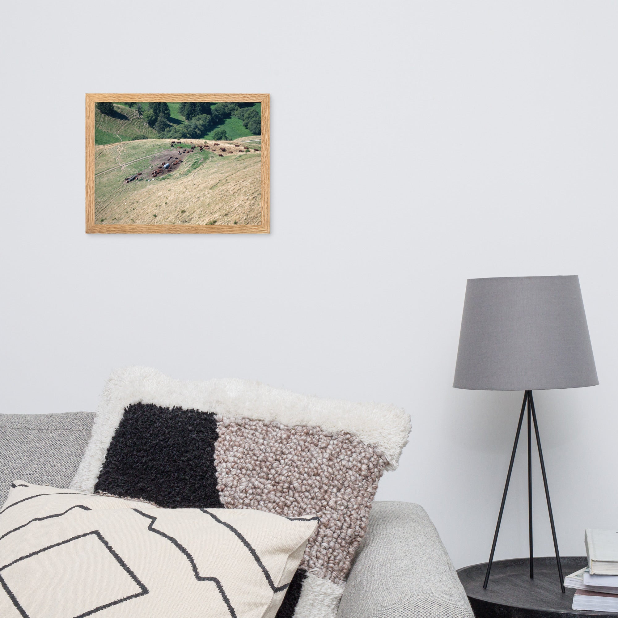 Photographie des vaches paissant paisiblement avec en toile de fond les montagnes majestueuses de la Tournette près d'Annecy. La nature dans sa splendeur.