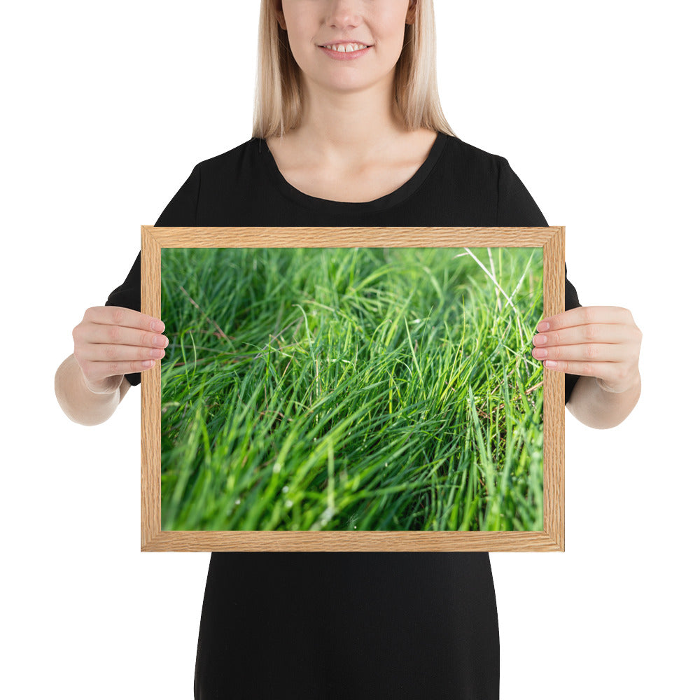 Photographie de 'Le Vent', montrant de l'herbe verte inclinée par une brise légère, encadrée dans un cadre en bois élégant.