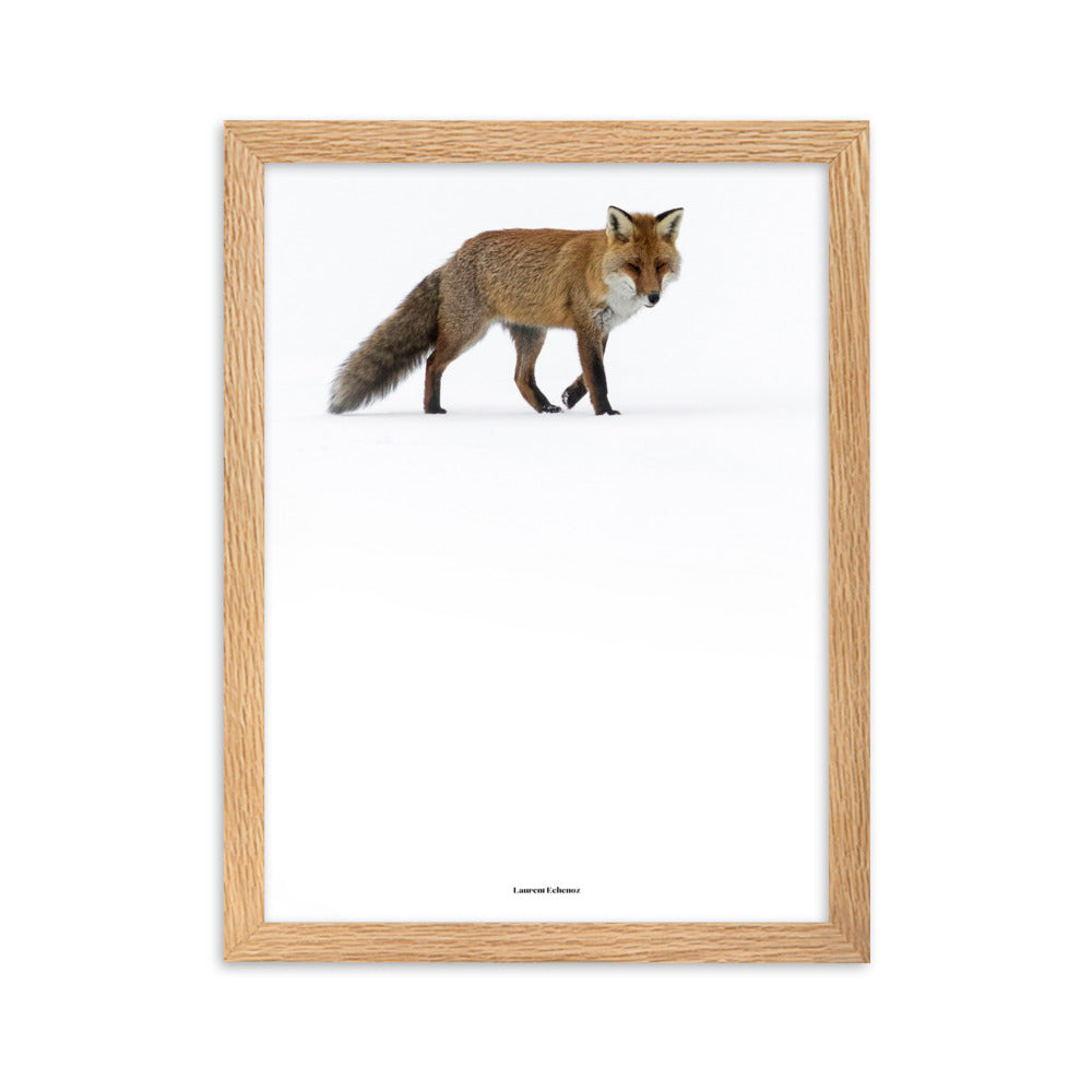 Photographie 'Doux Roux' de Laurent Echenoz, montrant un renard roux dans un paysage hivernal, encadré en aulne ou chêne pour une élégance naturelle.