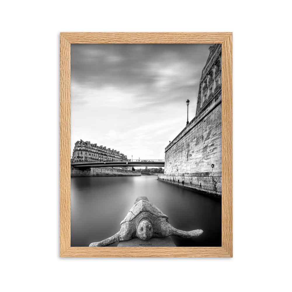 Poster encadré "Turtle Saint Louis" par @JYL.PARIS, montrant une vue artistique de Paris, idéal pour ceux qui apprécient l'art urbain et la sérénité des espaces naturels dans la ville.