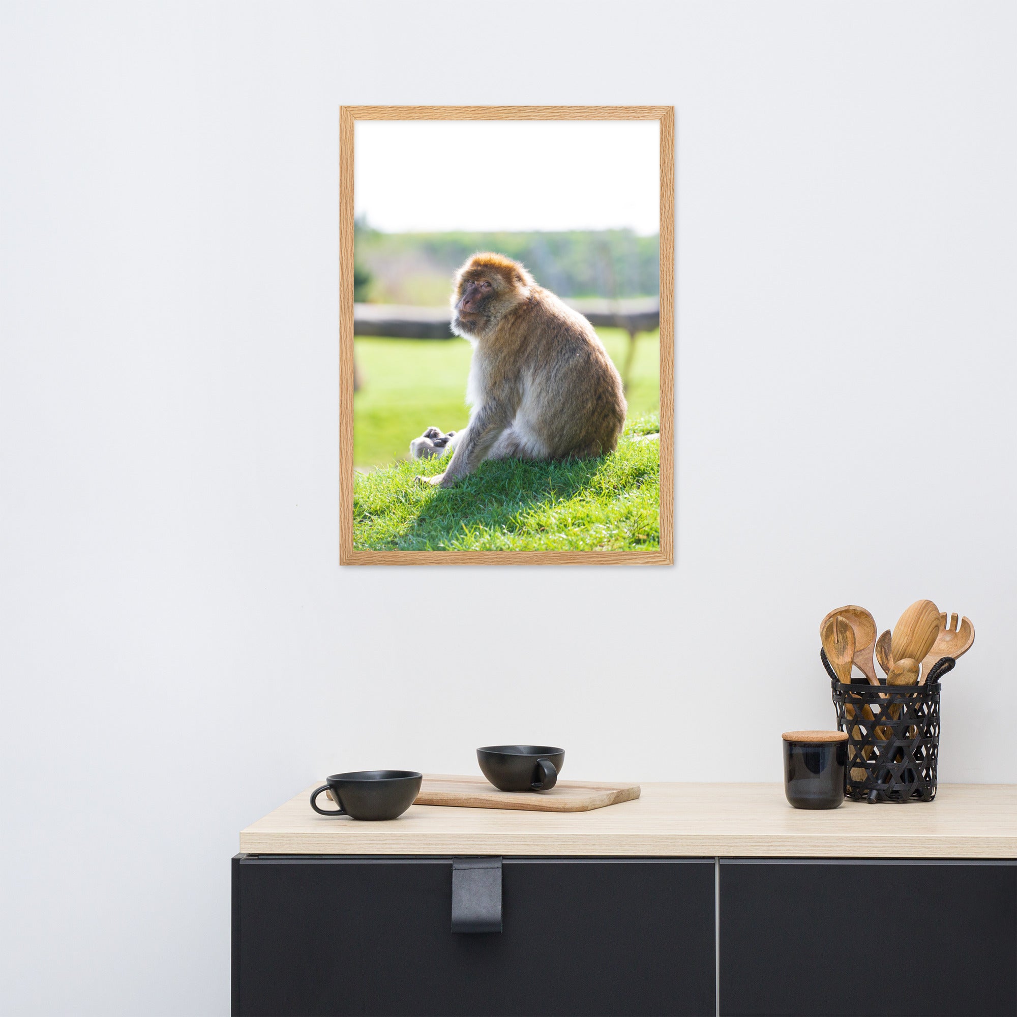 Dans le regard d'un macaque - Poster encadré - La boutique du poster Français