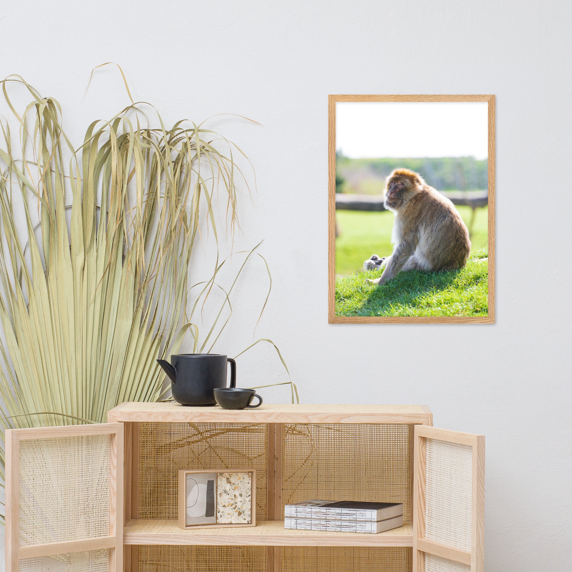 Dans le regard d'un macaque - Poster encadré - La boutique du poster Français