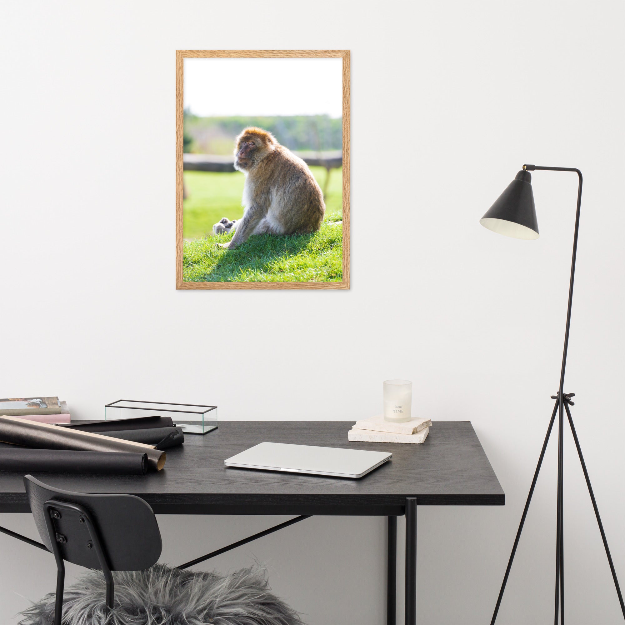 Dans le regard d'un macaque - Poster encadré - La boutique du poster Français