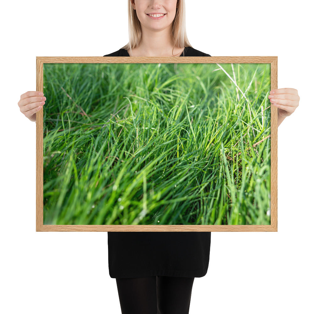 Photographie de 'Le Vent', montrant de l'herbe verte inclinée par une brise légère, encadrée dans un cadre en bois élégant.