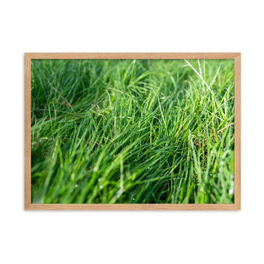 Photographie de 'Le Vent', montrant de l'herbe verte inclinée par une brise légère, encadrée dans un cadre en bois élégant.