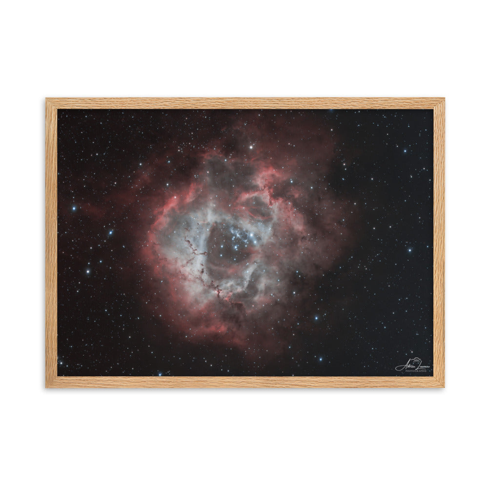Affiche de la 'Nébuleuse de la Rosette', une image stellaire spectaculaire capturée par Adrien Louraco, présentant des gaz colorés et des étoiles dans une composition astrale enchanteresse, destinée à être un élément de décoration murale captivant.
