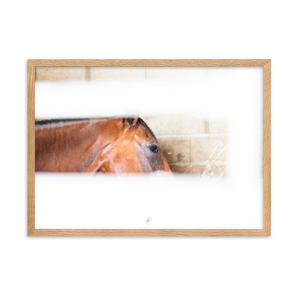 Poster artistique 'Confidence au box' signé Yann Peccard, représentant un cheval châtain dans un éclat de lumière, encadré et prêt à embellir votre espace.