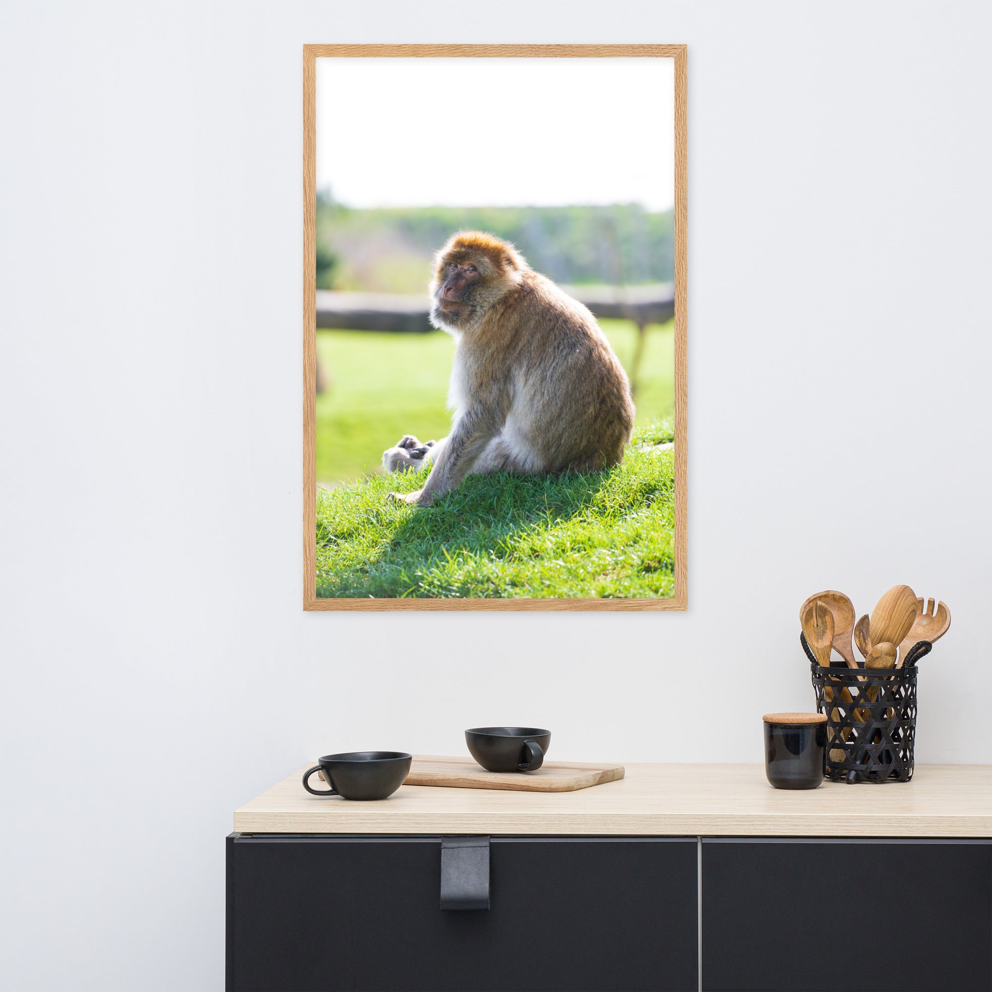 Dans le regard d'un macaque - Poster encadré - La boutique du poster Français
