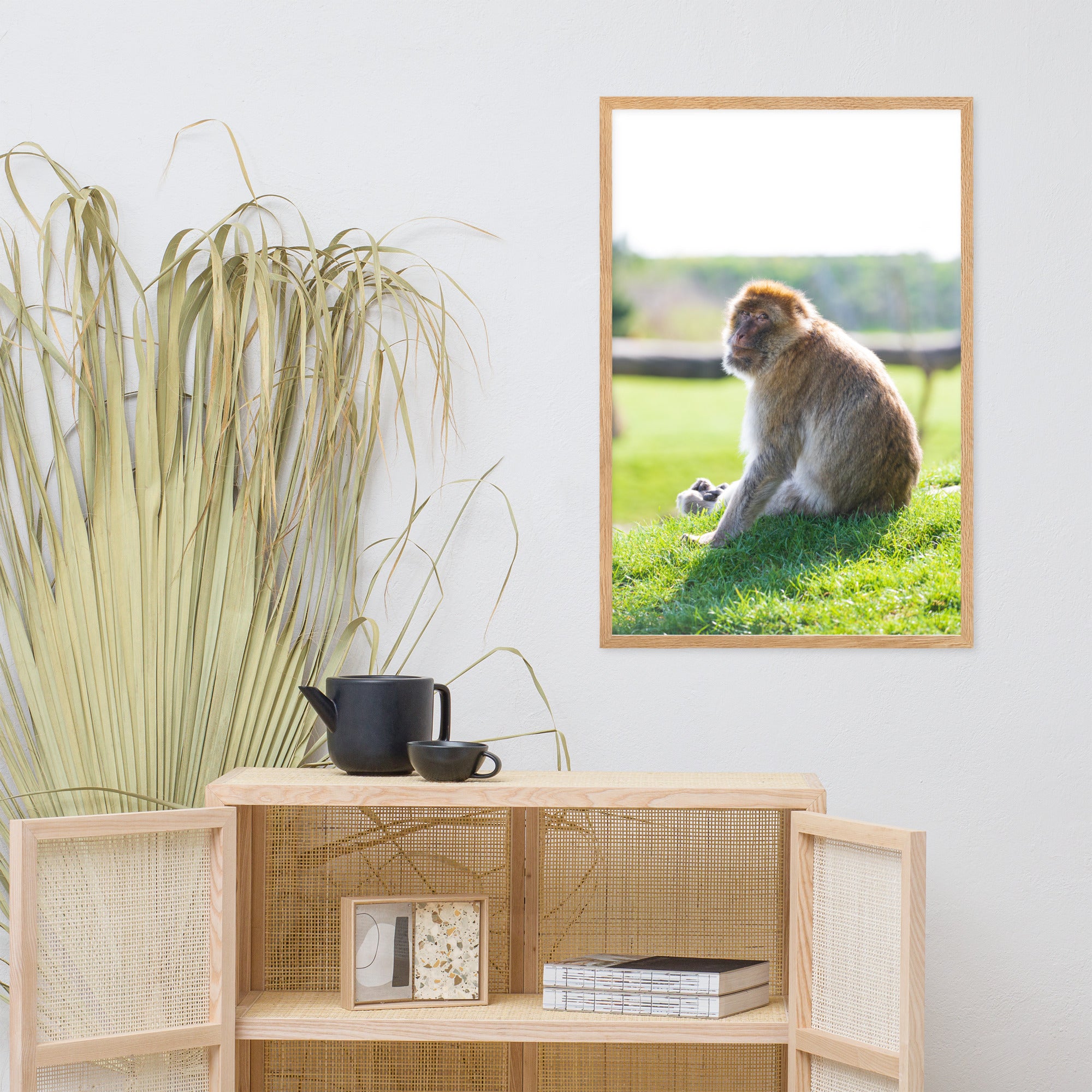 Dans le regard d'un macaque - Poster encadré - La boutique du poster Français