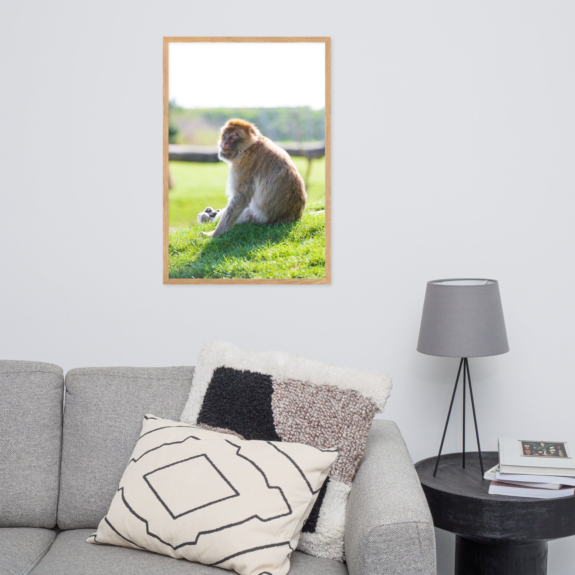 Dans le regard d'un macaque - Poster encadré - La boutique du poster Français