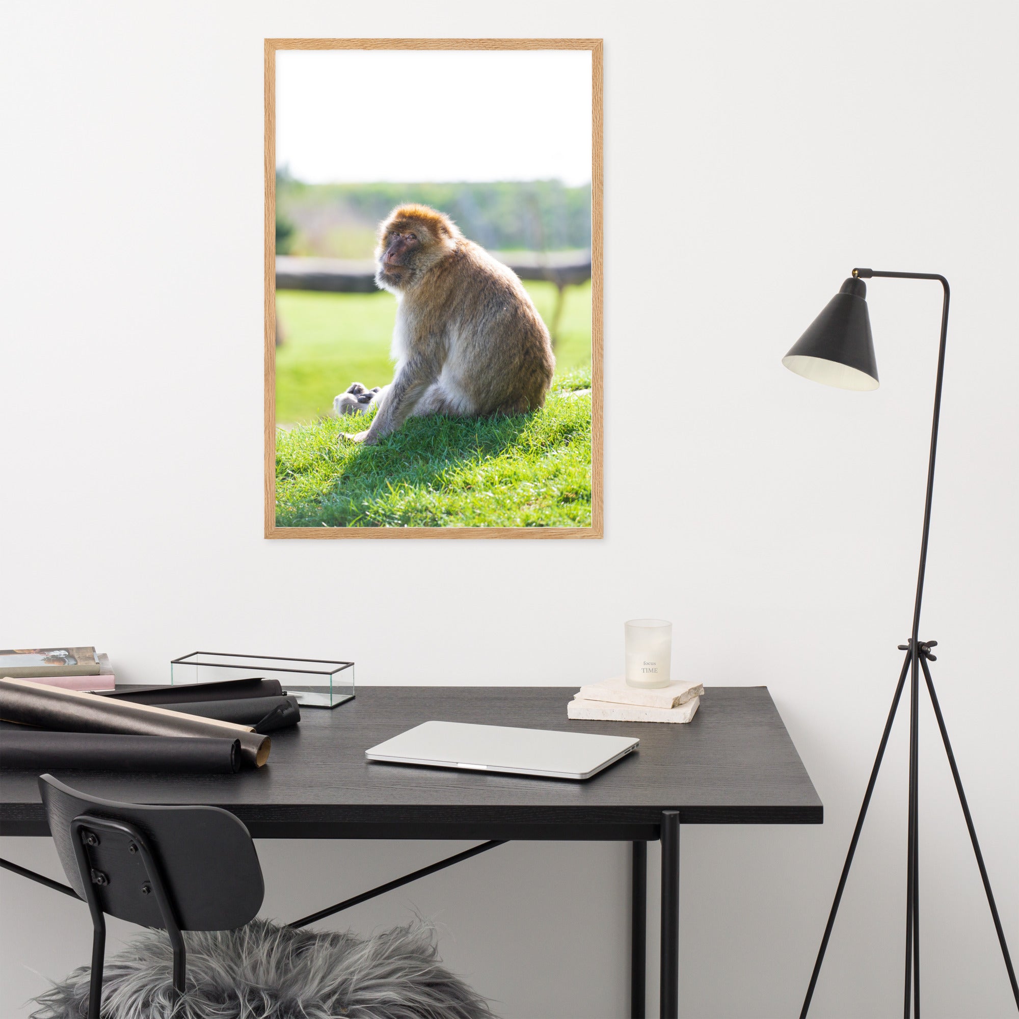Dans le regard d'un macaque - Poster encadré - La boutique du poster Français