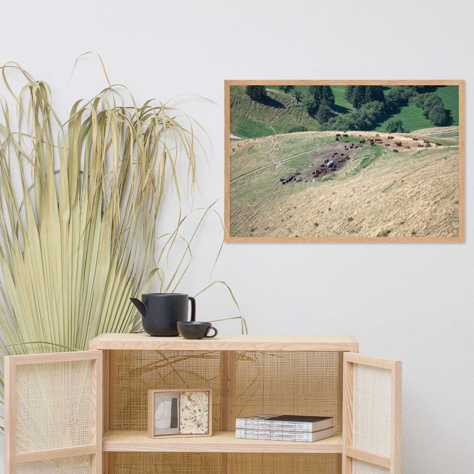 Photographie des vaches paissant paisiblement avec en toile de fond les montagnes majestueuses de la Tournette près d'Annecy. La nature dans sa splendeur.