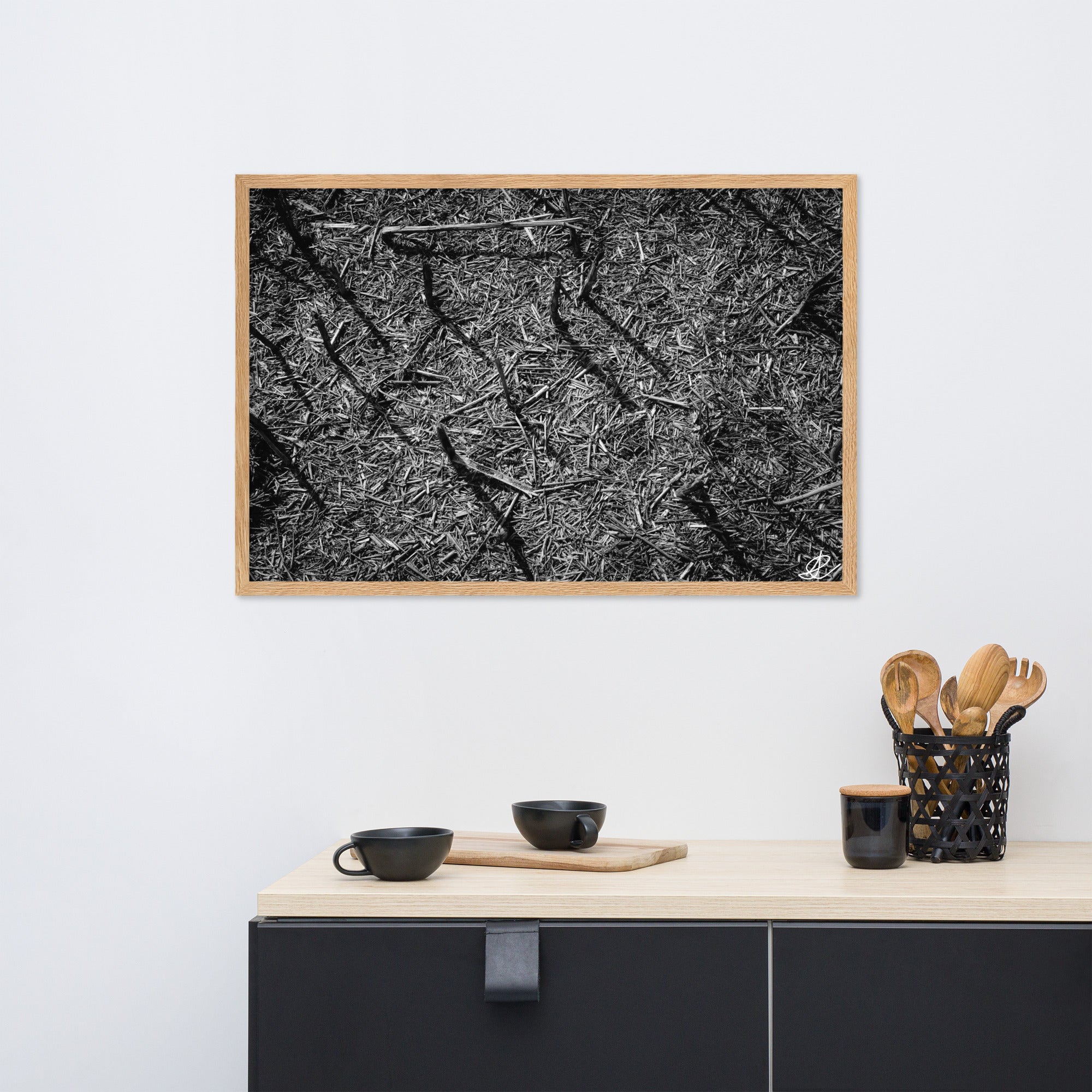 Photographie artistique 'Champ Brûlé' par Ilan Shoham, illustrant un champ noir récemment ravagé par le feu, une image évoquant à la fois la perte et la beauté tranquille de la régénération naturelle, en grand format noir et blanc.