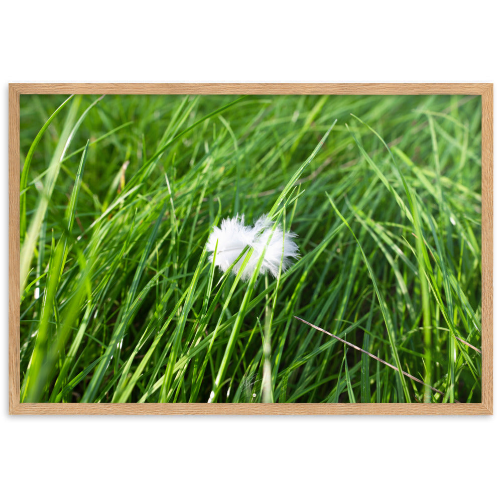 Photographie d'une plume blanche solitaire reposant paisiblement sur une herbe verte, encapsulant une ambiance de calme et de sérénité.