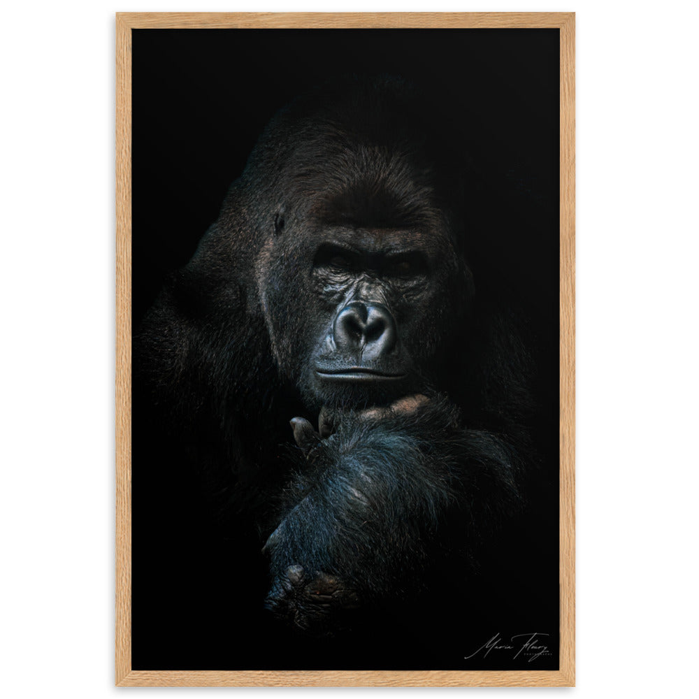 Photographie en noir et blanc d'un Gorille des plaines en méditation, signée par la célèbre photographe Maria Fleury.