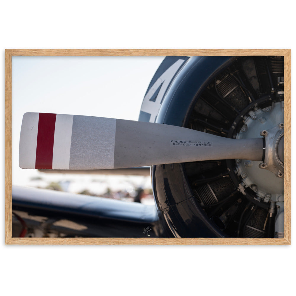 Photographie détaillée de l'hélice du T-28, F-AYBA, par Yann Peccard, encadrée avec élégance, reflétant la robustesse et l'histoire aéronautique.