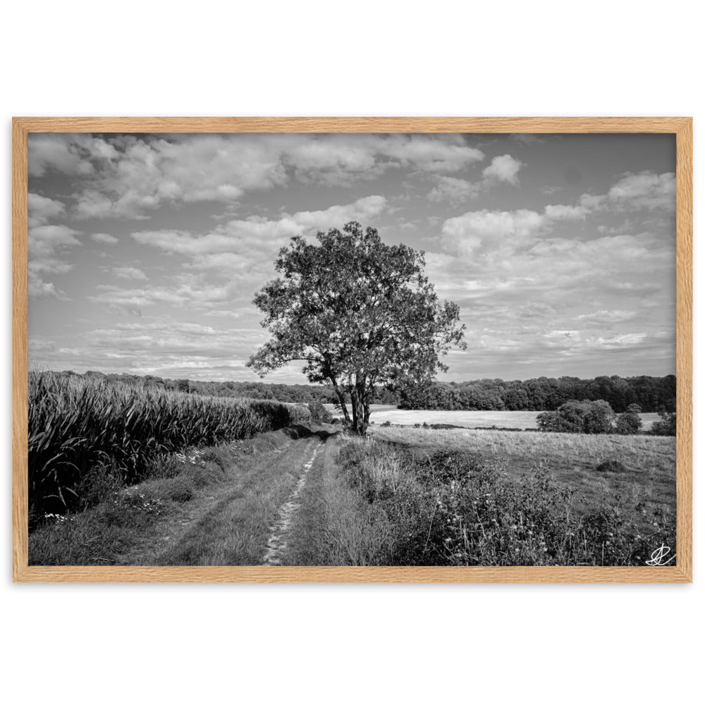 Poster en noir et blanc 'Le Grand Arbre', mettant en vedette un arbre robuste et serein au bord d'un champ ouvert, photographié de manière artistique par Ilan Shoham, offrant une présence apaisante et majestueuse à votre espace.