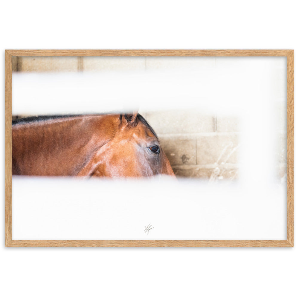 Poster artistique 'Confidence au box' signé Yann Peccard, représentant un cheval châtain dans un éclat de lumière, encadré et prêt à embellir votre espace.