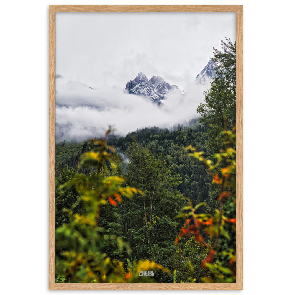 Photographie '2 mondes' par Henock Lawson, illustrant la rencontre entre une forêt luxuriante et des montagnes enneigées, symbolisant l'harmonie naturelle.