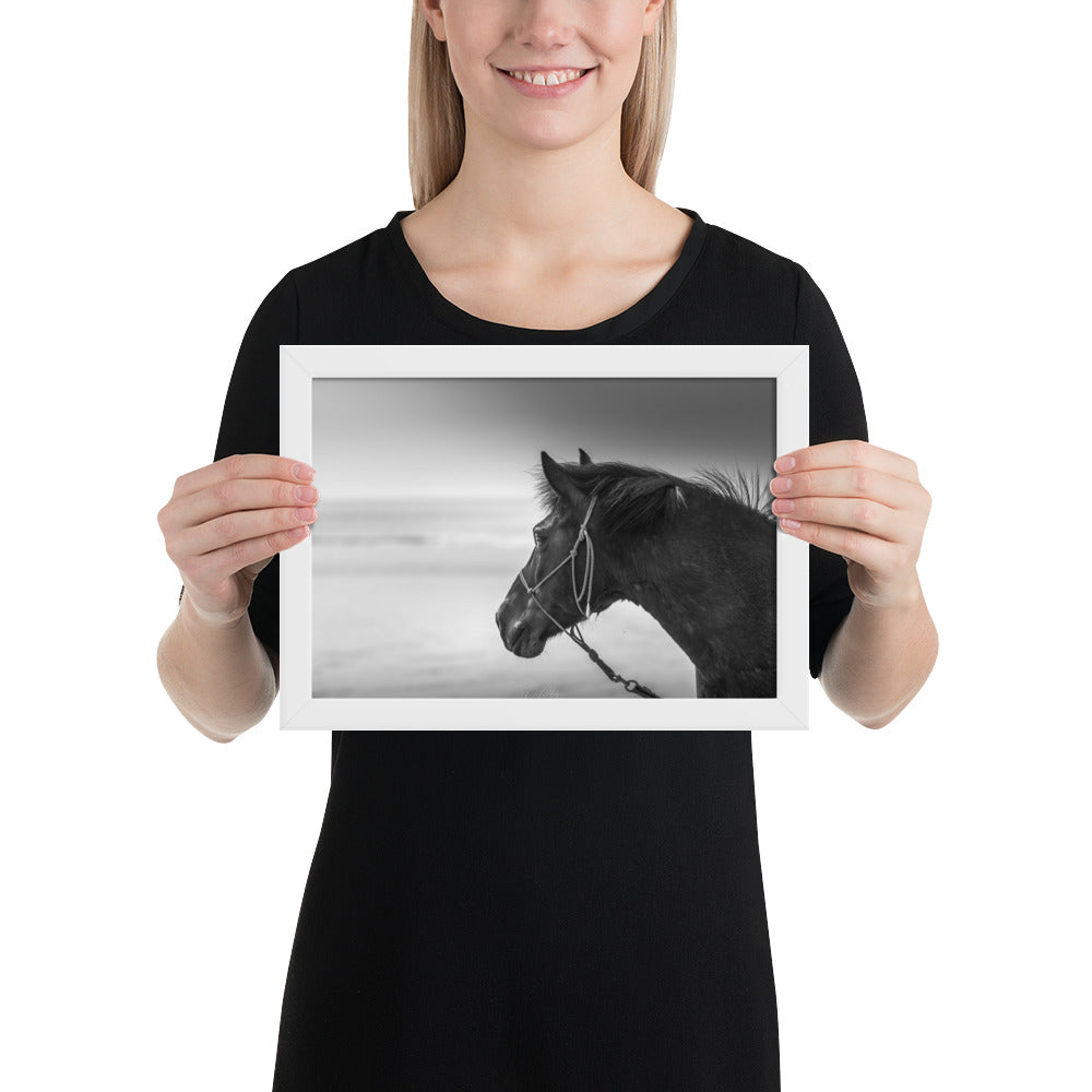 Photographie noir et blanc 'Cheval N&B' par Charles Coley, illustrant la grâce majestueuse d'un cheval en mouvement, avec une attention particulière aux détails exquis et à la pureté du moment capturé.