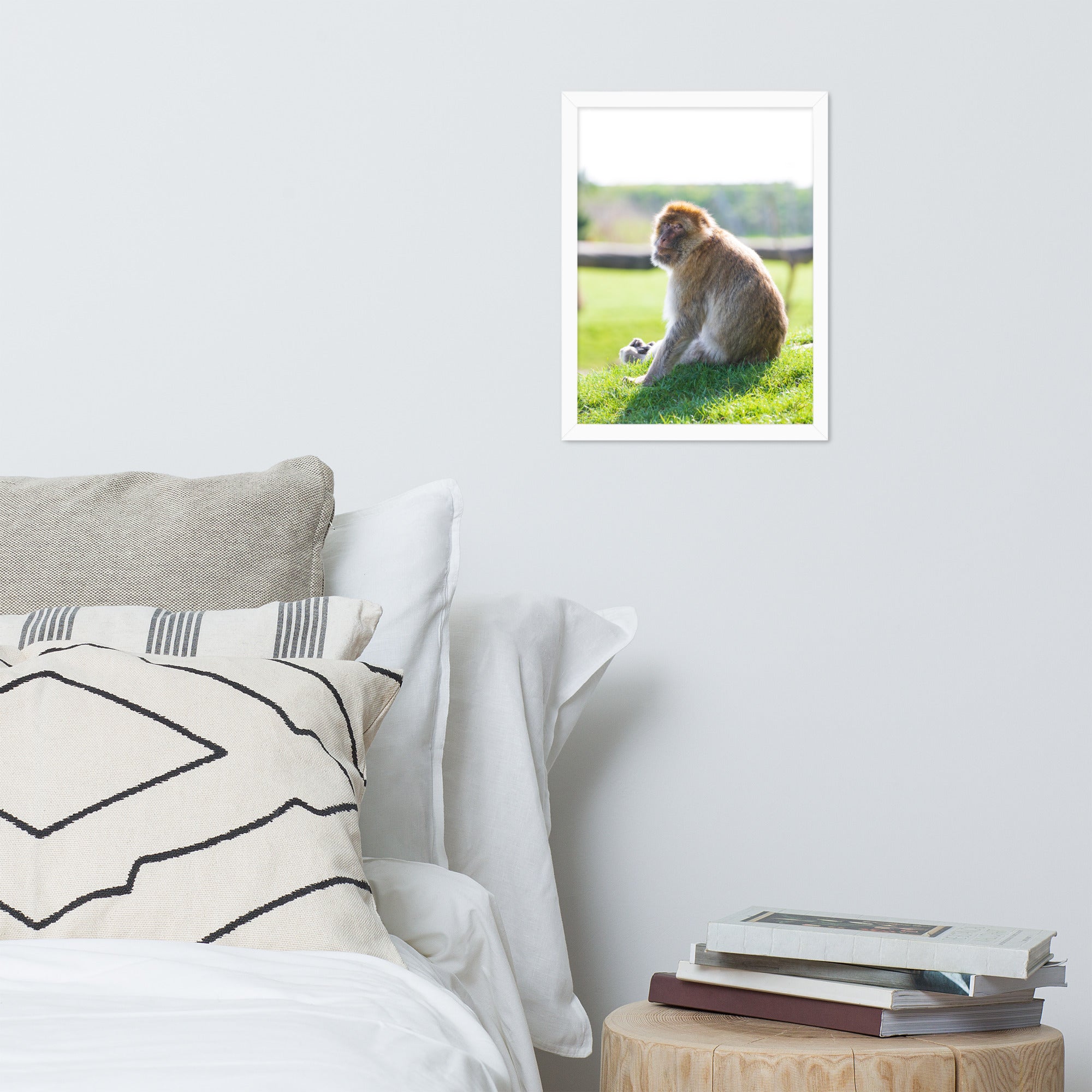 Dans le regard d'un macaque - Poster encadré - La boutique du poster Français