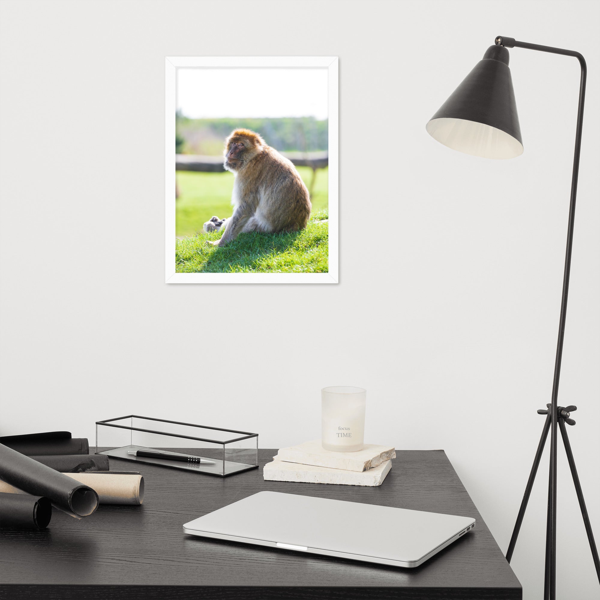 Dans le regard d'un macaque - Poster encadré - La boutique du poster Français